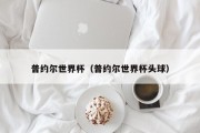 普约尔世界杯（普约尔世界杯头球）