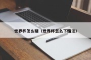 世界杯怎么赌（世界杯怎么下赌注）