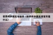 世界杯中国足球宝贝（世界杯中国足球宝贝是什么）