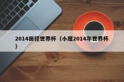 2014田径世界杯（小度2014年世界杯）