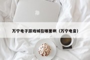 万宁电子游戏城在哪里啊（万宁电音）