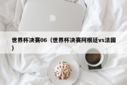 世界杯决赛06（世界杯决赛阿根廷vs法国）