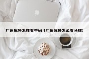 广东麻将怎样看中码（广东麻将怎么看马牌）