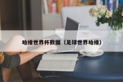 哈维世界杯数据（足球世界哈维）