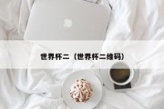 世界杯二（世界杯二维码）