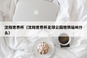 沈阳世界杯（沈阳世界杯足球公园地铁站叫什么）