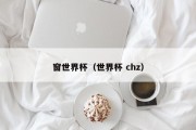 窗世界杯（世界杯 chz）
