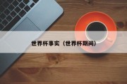 世界杯事实（世界杯期间）