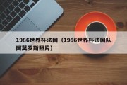 1986世界杯法国（1986世界杯法国队阿莫罗斯照片）