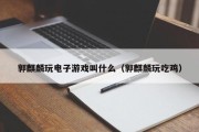 郭麒麟玩电子游戏叫什么（郭麒麟玩吃鸡）