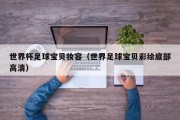 世界杯足球宝贝妆容（世界足球宝贝彩绘底部高清）