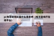 pc电子游戏区是什么意思啊（电子游戏厅在线平台）