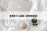 世界杯个人奖项（世界杯奖状）