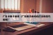 广东中赖子麻将（广东赖子麻将的打法和技巧视频）