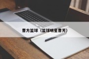 曹方篮球（篮球明星曹芳）