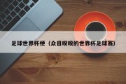 足球世界杯梗（众目睽睽的世界杯足球赛）