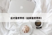 这才是世界杯（这就是世界杯）
