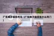 广东赖子麻将开马（广东赖子麻将有什么窍门）