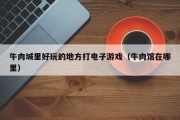 牛肉城里好玩的地方打电子游戏（牛肉馆在哪里）