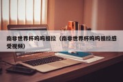 南非世界杯呜呜祖拉（南非世界杯呜呜祖拉感受视频）