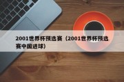 2001世界杯预选赛（2001世界杯预选赛中国进球）