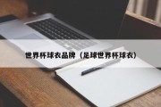 世界杯球衣品牌（足球世界杯球衣）