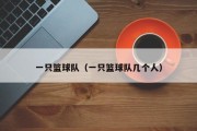 一只篮球队（一只篮球队几个人）