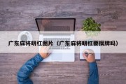 广东麻将明杠图片（广东麻将明杠要摸牌吗）