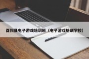 酉阳县电子游戏培训班（电子游戏培训学校）