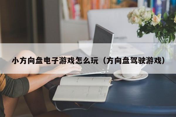 小方向盘电子游戏怎么玩(方向盘驾驶游戏)