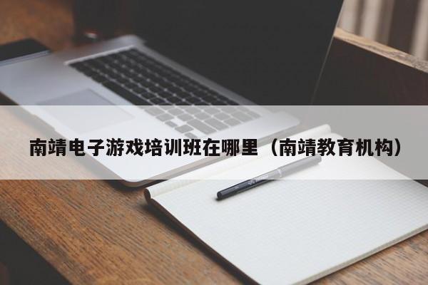 南靖电子游戏培训班在哪里(南靖教育机构)