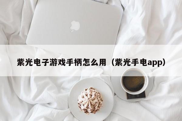 紫光电子游戏手柄怎么用(紫光手电app)