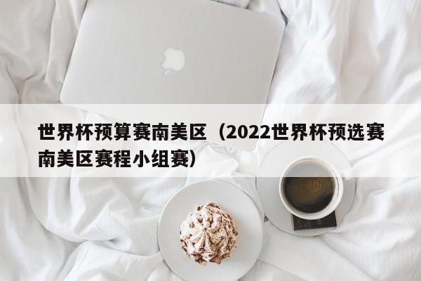 世界杯预算赛南美区(2022世界杯预选赛南美区赛程小组赛)