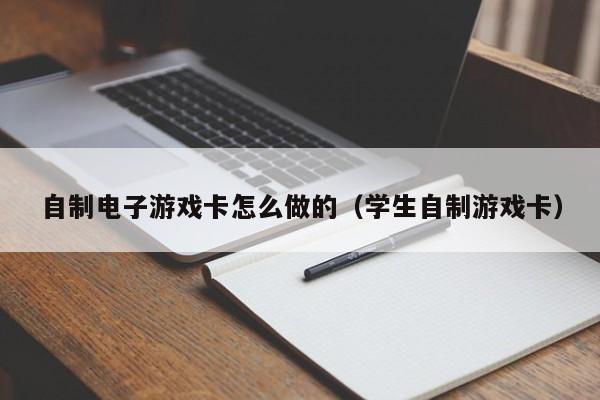 自制电子游戏卡怎么做的(学生自制游戏卡)